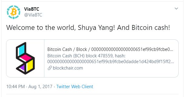 داستان پیدایش بیت کوین کش