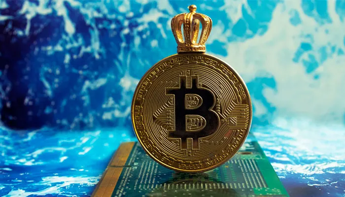 چرا بر اساس قانون قدرت تنها بیت کوین پیروز واقعی نبرد میان ارزهای دیجیتال است؟