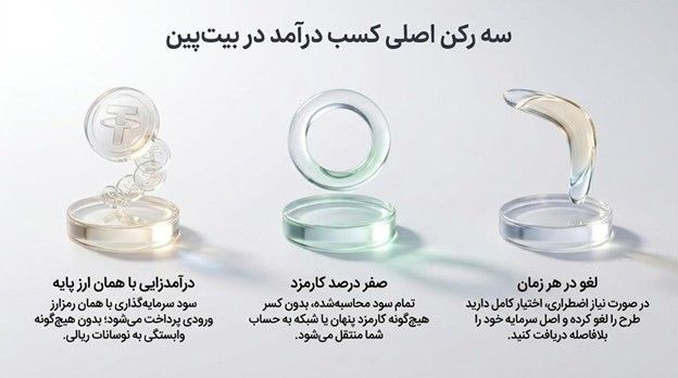 کسب درآمد از ارز دیجیتال | محصول جدید صرافی بیت‌پین