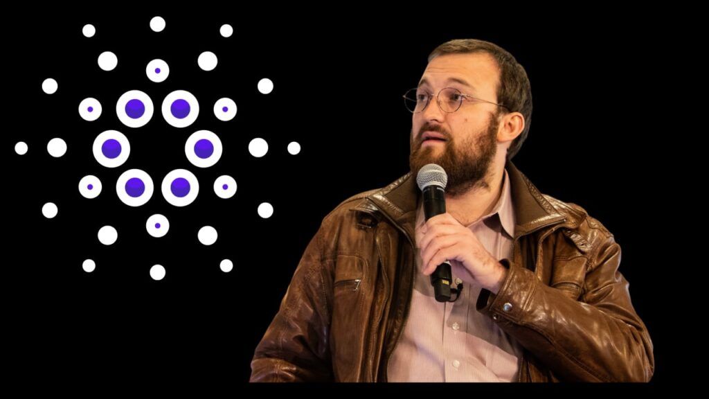 بنیان‌گذار کاردانو تاریخ جدیدی را برای هاردفورک واسیل اعلام کرد