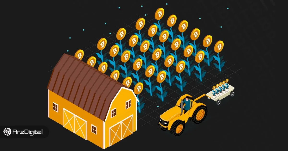 کشت سود چیست؟ معرفی بهترین پلتفرمها برای کسب درآمد
