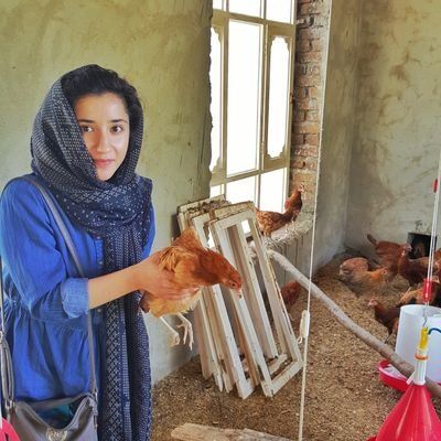 اتریوم راهی افغانستان شد