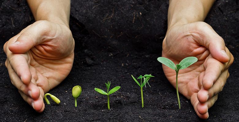 آیا رویداد قوی سیاه در ارزهای دیجیتال نسبت به دیگر دارایی‌ها بیشتر اتفاق می‌افتد؟