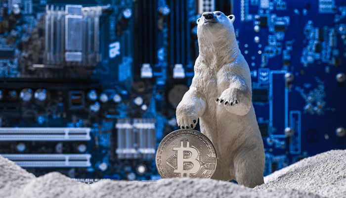 نهنگ ناشناس پیش&zwnj;بینی قیمت بیت کوین خود را اعلام کرد