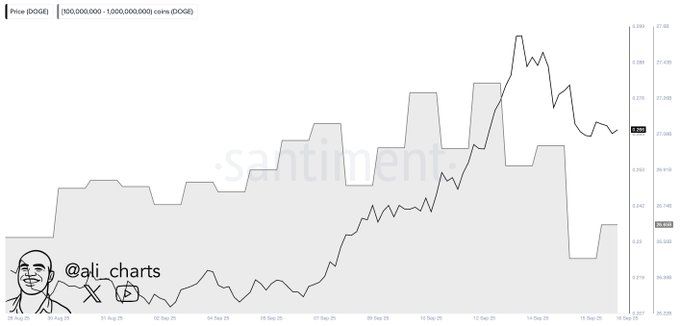 تحلیل آنجین دوج کوین