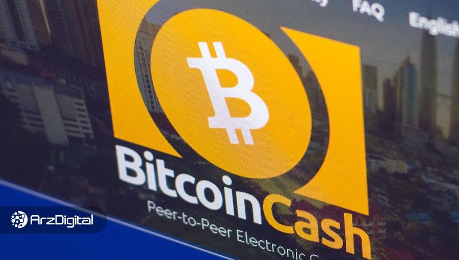 بیت کوین کش