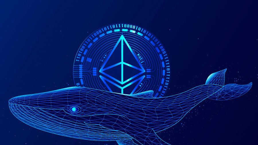 سنتیمنت: موجودی نهنگها اتریوم تنها در یک روز یک میلیارد دلار افزایش یافته است