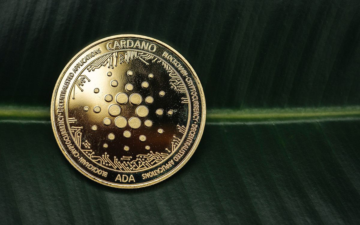 ارزش کل وجوه قفل‌شده در بلاک چین کاردانو از مرز ۲۲۴ میلیون دلار گذشت