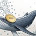 خرید سنگین ریپل توسط نهنگ‌ها؛ آیا جهش XRP نزدیک است؟