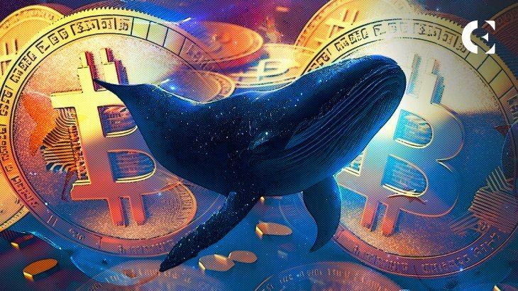 کیف پول بیتکوین ۱۳ ساله با جابجایی ۲.۱ میلیون دلار فعال شد