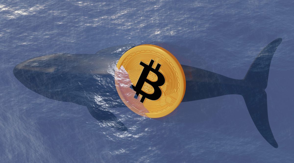قمار سنگین نهنگ پرحاشیه بازار روی سقوط بیت کوین تا ۹۲ هزار دلار