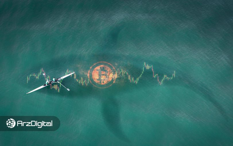 نهنگ بیت کوین