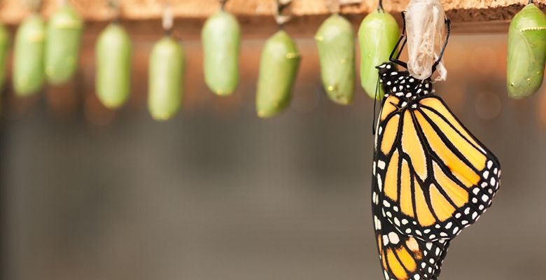 انقلاب بیت کوین تازه آغاز شده است! انقلاب بیت کوین تازه آغاز شده است!