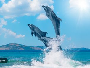 جهش مجدد بازار ارزهای دیجیتال/ رقابت نزدیک ریپل و اتریوم !