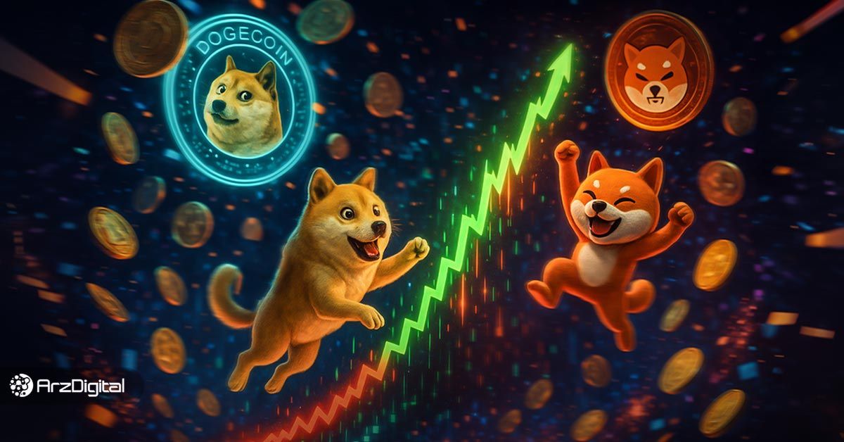 میم کوین سیزن چیست؟ چطور فصل میم کوین ها را تشخیص دهیم