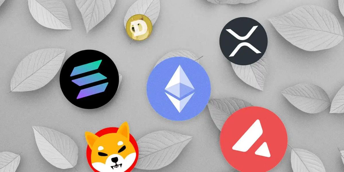 تحلیلگران درباره آغاز فصل آلت کوین‌ها نظر می‌دهند