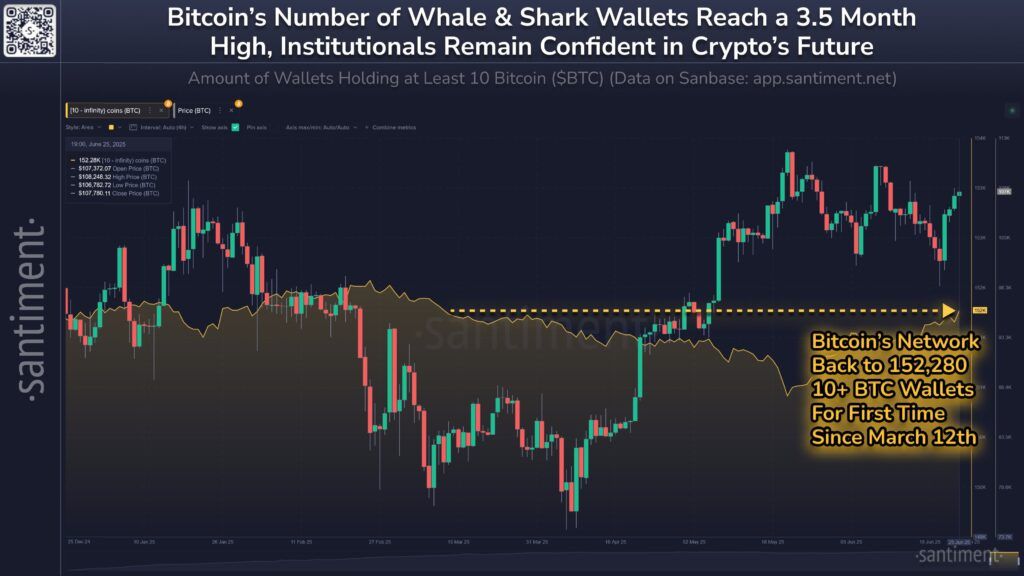 نهنگ‌های بیت کوین