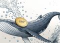 خرید سنگین ریپل توسط نهنگ‌ها؛ آیا جهش XRP نزدیک است؟