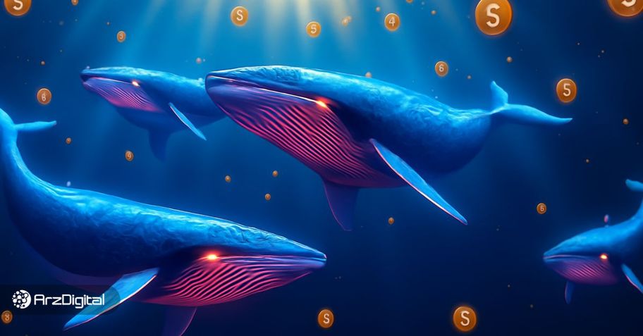 نهنگ‌های بزرگ بازار در ماه ژوئن چه ارزهایی می‌خرند؟