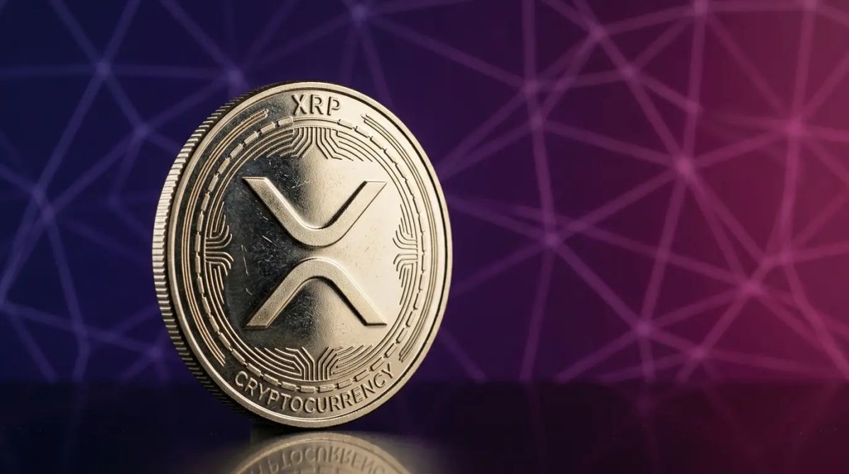 حمایت مدیر فنی ریپل از کمپین انتخاباتی جان دیتون با اهدای ارز دیجیتال XRP