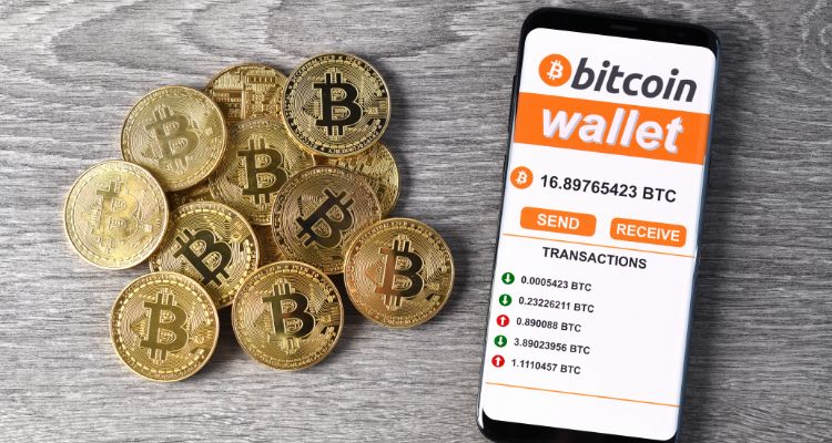 تعداد کیف پول‌های بیت کوین حاوی بیش از یک میلیون دلار طی یک سال اخیر ۸۰درصد کاهش یافته است